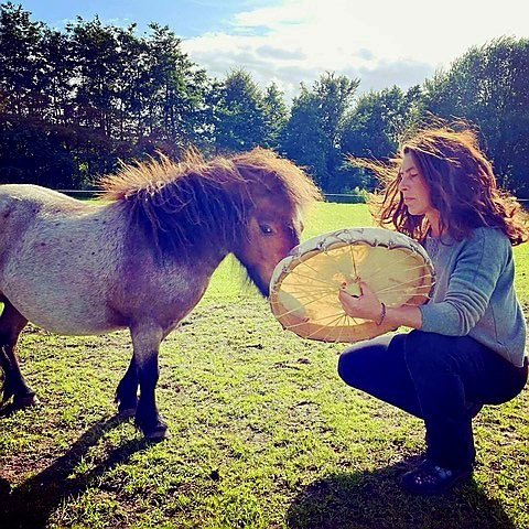 PSX_20220527_183121 cbd olie verkoop