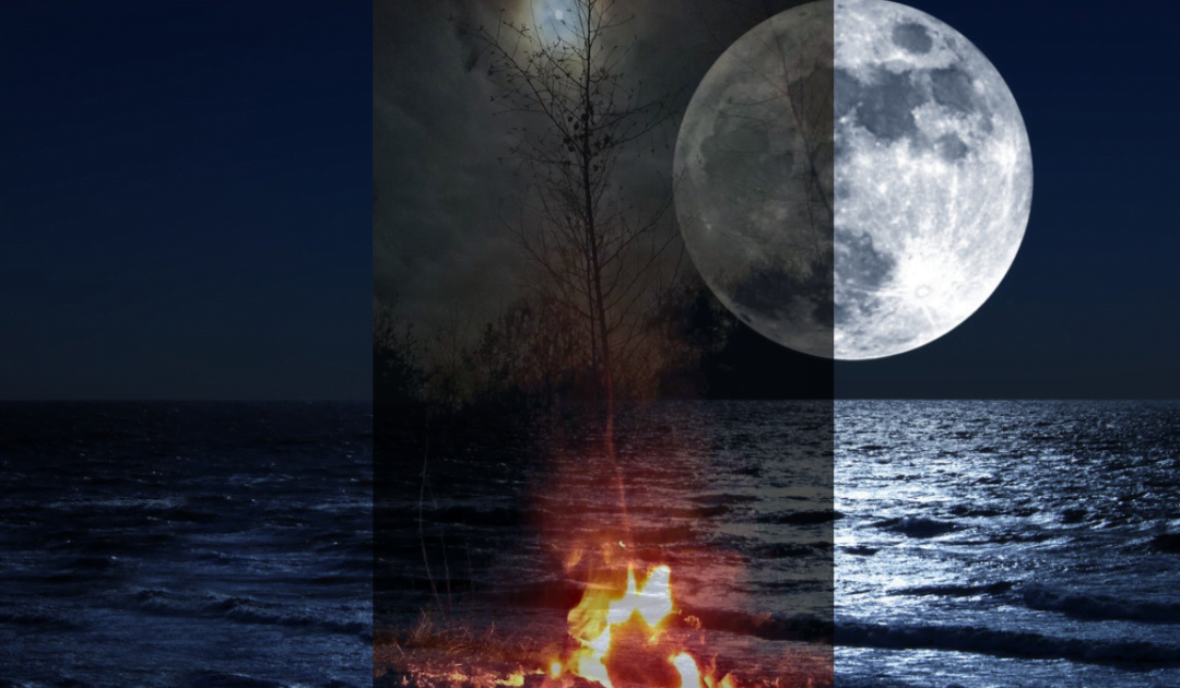 Volle Maan Vuurceremonie Wilg